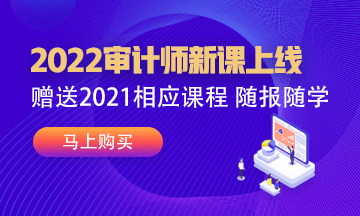 2022审计师新课