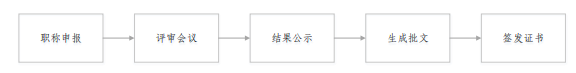 新疆2021年高会评审申报操作指南 新疆2021年高会评审申报操作指南