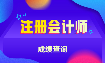 2021年注册会计师专业阶段成绩查询时间