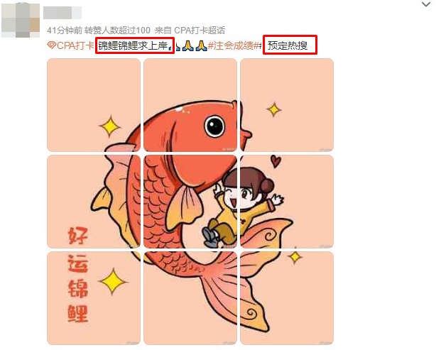 CPA成绩出分了？预祝每一位注会考生“锦鲤附体”！