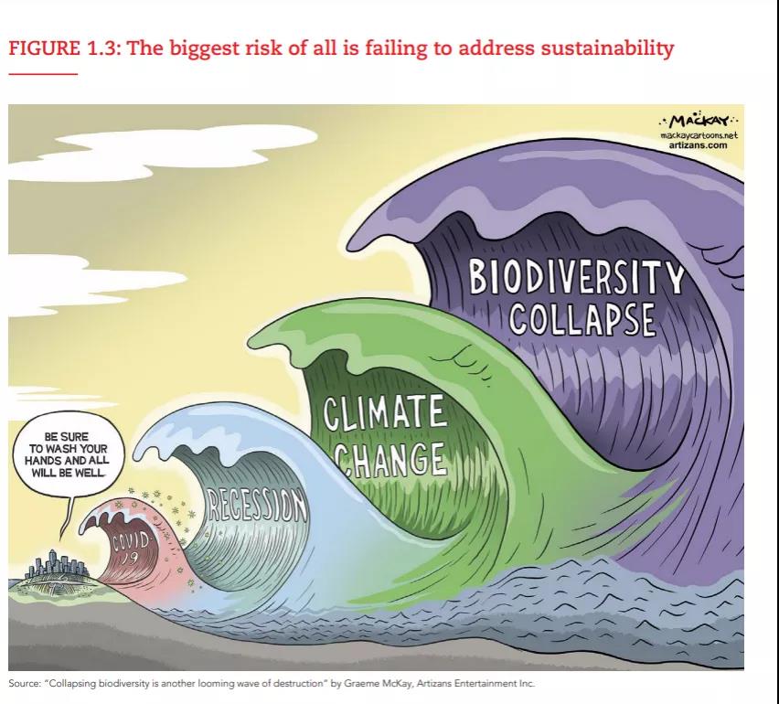 “双碳”目标下,财务人要关注什么? “双碳”目标下,财务人要关注什么?