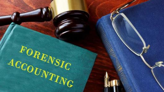 法务会计 法务会计