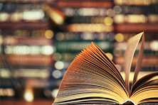 3岁以下婴幼儿专项附加扣除中的婴幼儿信息如何填报？