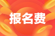 注册会计师考试报名费用 注册会计师考试报名费用