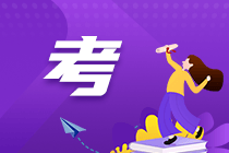 税务师考试1 税务师考试1