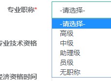 专业职称