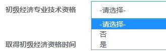 初级经济师专业技术资格