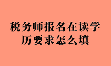 税务师报名在读学历要求怎么填