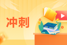 税务师高效实验班