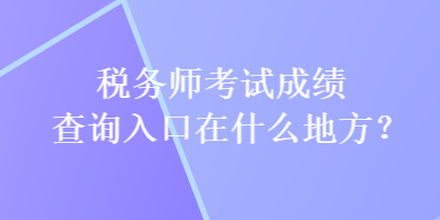 税务师考试成绩查询入口在什么地方？