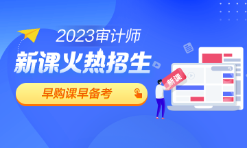 2023审计师新课