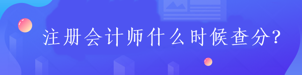 注册会计师什么时候查分？