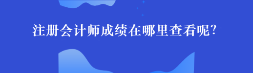 注册会计师成绩在哪里查看呢？44
