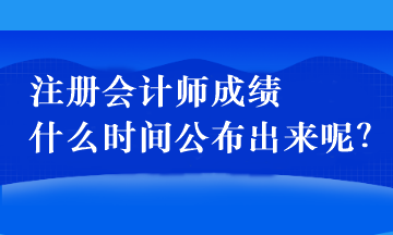 注册会计师成绩什么时间公布出来呢？