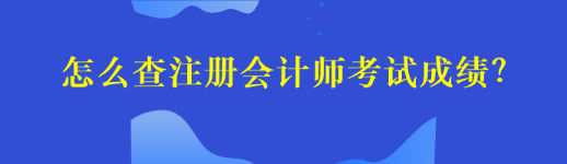 怎么查注册会计师考试成绩？