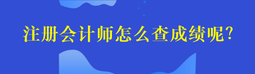 注册会计师怎么查成绩呢？