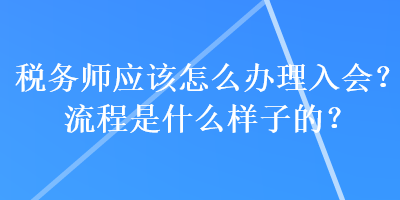 税务师应该怎么办理入会？流程是什么样子的？