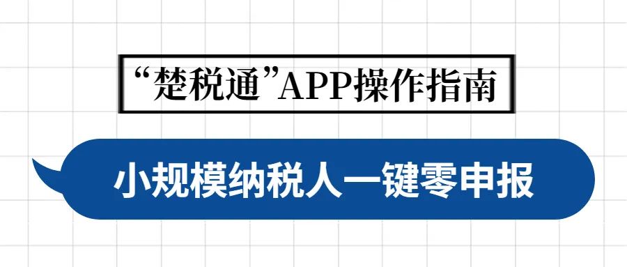 楚税通操作指南 楚税通操作指南
