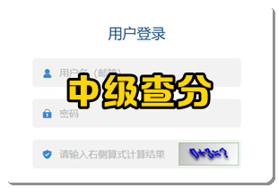 中级成绩查询 中级成绩查询