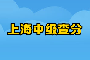 上海中级成绩 上海中级成绩