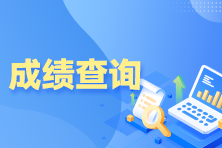 税务师成绩哪天公布 税务师成绩哪天公布