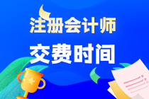 注册会计师考试什么时候交费的？