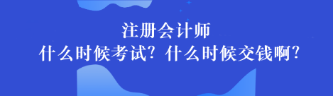 注册会计师什么时候考试？什么时候交钱啊？