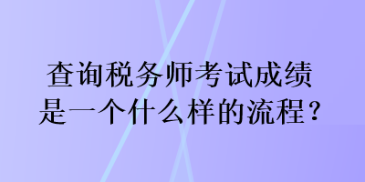 查询税务师考试成绩是一个什么样的流程？
