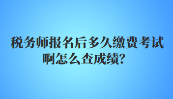 税务师报名后多久缴费考试啊怎么查成绩? 税务师报名后多久缴费考试啊怎么查成绩?