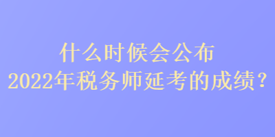什么时候会公布2022年税务师延考的成绩？