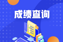 税务师成绩查询9 税务师成绩查询9