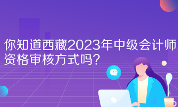 你知道西藏2023年中级会计师资格审核方式吗？