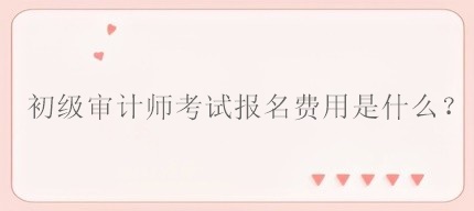 初级审计师考试报名费用是什么? 初级审计师考试报名费用是什么?