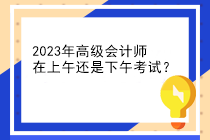 2023年高级会计师在上午还是下午考试？
