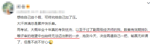 高级经济师评审