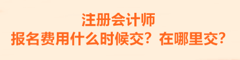 注册会计师的报名费用什么时候交？在哪里交？