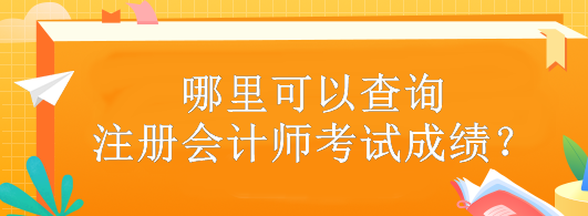 哪里可以查询注册会计师考试成绩？