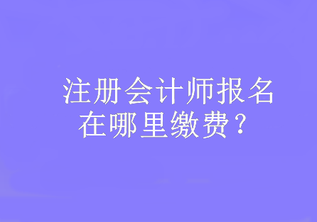 注册会计师报名在哪里缴费？