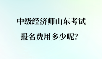 中级经济师山东考试报名费用多少呢？