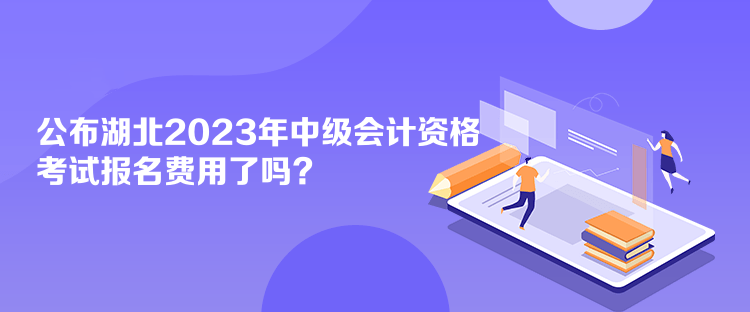 公布湖北2023年中级会计资格考试报名费用了吗？