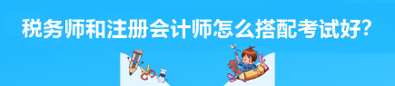 税务师和注册会计师怎么搭配考试好？
