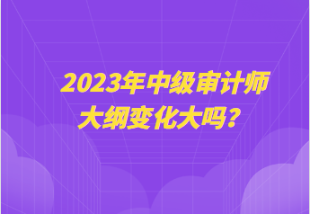 2023年中级审计师大纲变化大吗？