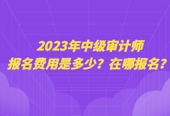 2023年中级审计师报名费用是多少?在哪报名? 2023年中级审计师报名费用是多少?在哪报名?