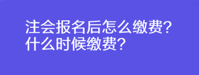 注会报名后怎么缴费?什么时候缴费? 注会报名后怎么缴费?什么时候缴费?