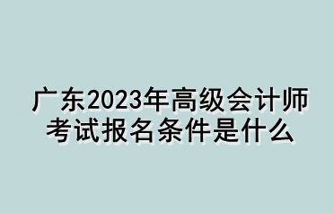 广东2023年高级会计师考试报名条件是什么 广东2023年高级会计师考试报名条件是什么