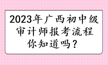 2023年广西初中级审计师报考流程你知道吗? 2023年广西初中级审计师报考流程你知道吗?