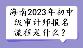 海南2023年初中级审计师报名流程是什么? 海南2023年初中级审计师报名流程是什么?