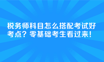 税务师科目怎么搭配考试好考点？零基础考生看过来！