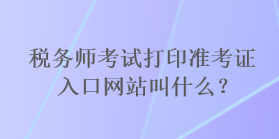 税务师考试打印准考证入口网站叫什么？