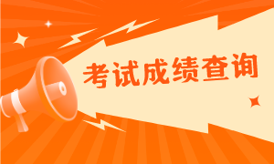 考试成绩 考试成绩